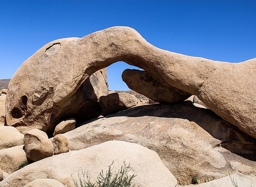 A picture of Arch Rock at Joshua Tree National Park in California.