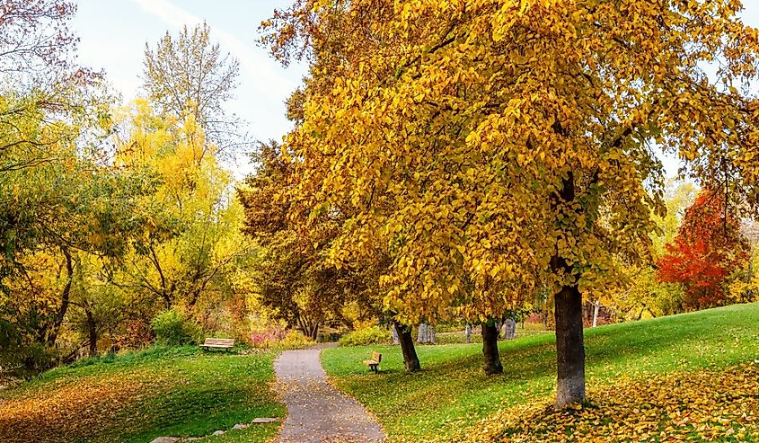 Riverside Park, Whitefish, Montana on a beautiful autumn day