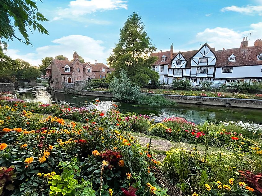 A picturesque view of a riverside garden and historic half-timbered houses in Canterbury