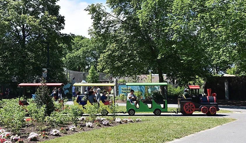 Franklin Park Zoo in Boston, Massachusetts.
