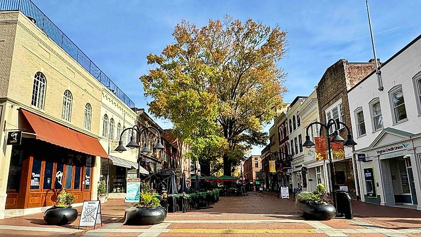 Downtown Mall Charlottesville is a pedestrian zone photo by Bryan Dearsley