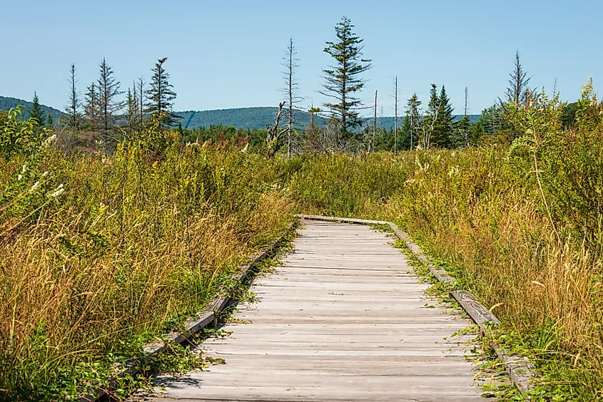 Canaan Valley National Wildlife Refuge