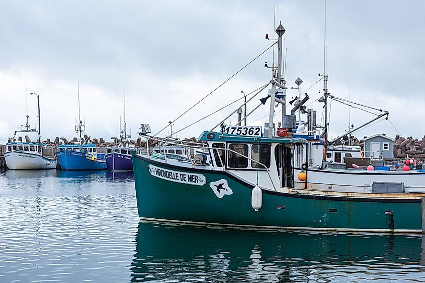 Fishing boats off the coast of L'Anse-à-la-Cabane, Magdalen Islands