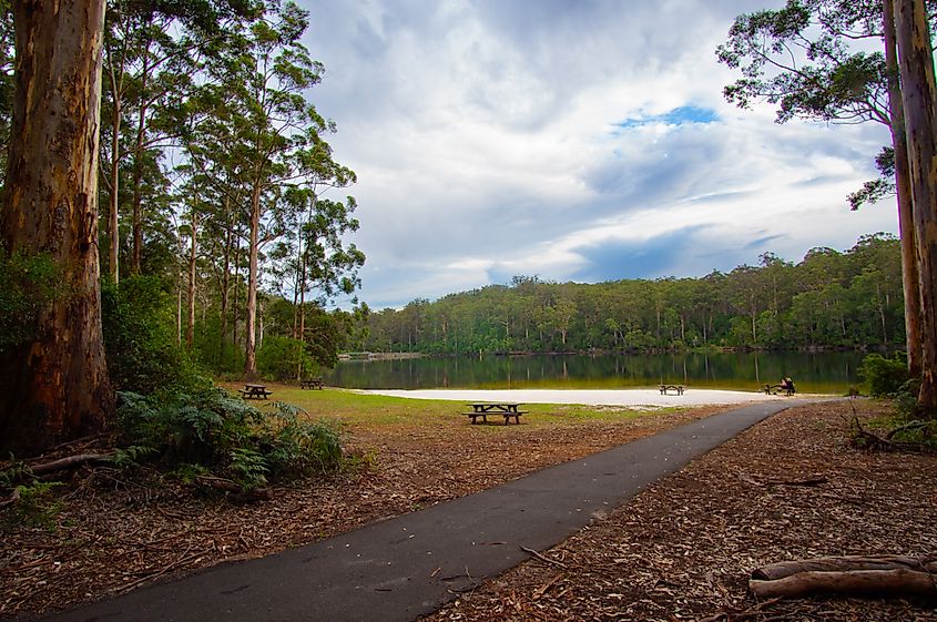 Pemberton in Western Australia offers beautiful picnic spots surrounded by lush forests