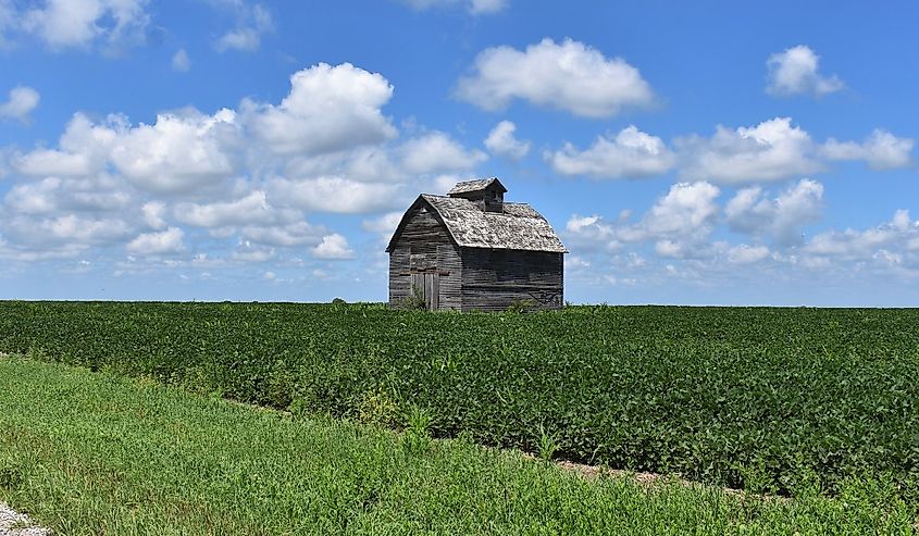 Barn new Elwood, Nebraska.