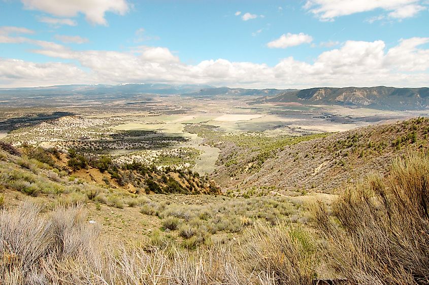 Faded rattlesnakes can be found in places like Colorado's Mancos Valley.