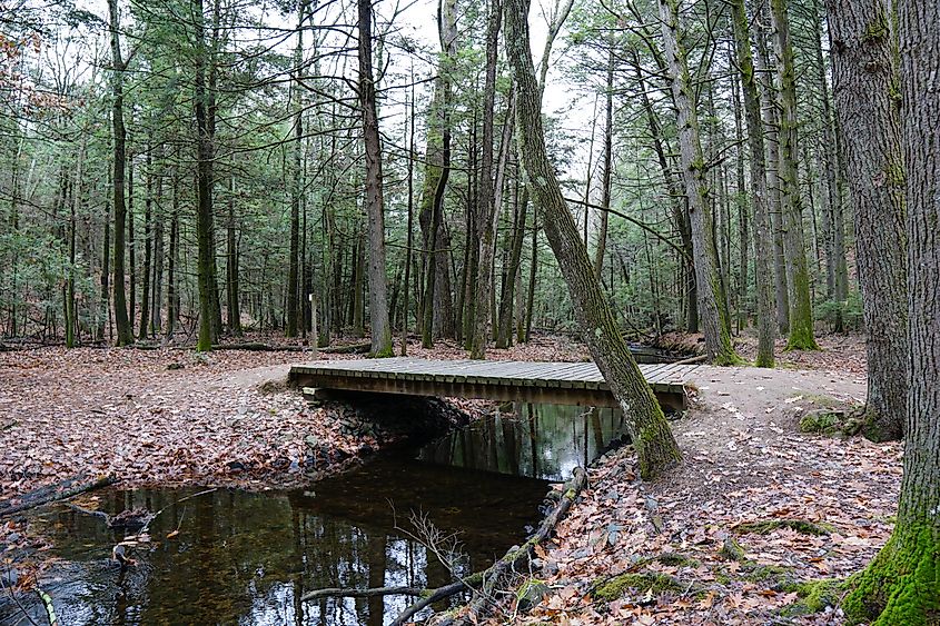 McLean Game Refuge near New Hartford, Connecticut.