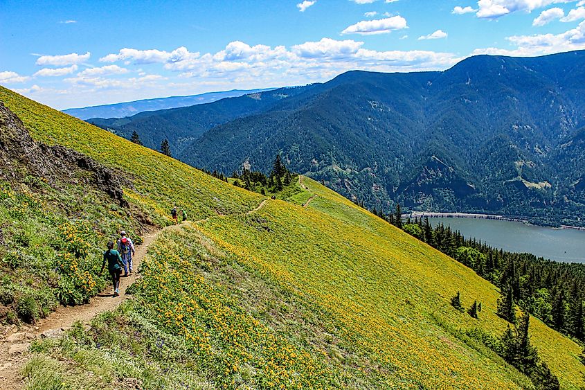 Hikers on a trail near White Salmon, Washington