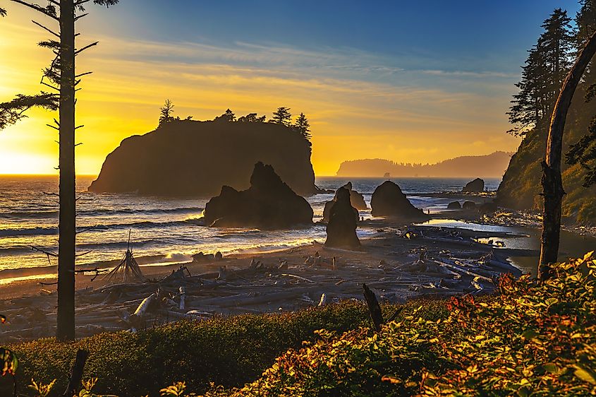 Colorful sunset at Ruby Beach in Olympic National Park, Washington, with piles of driftwood scattered along the shore.