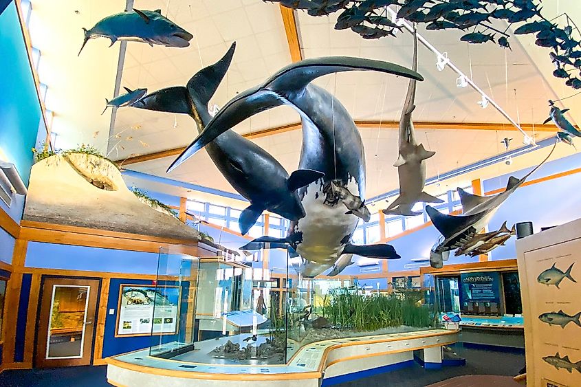 The Environmental Education Cente Photo courtesy FloridasHistoricCoast.com