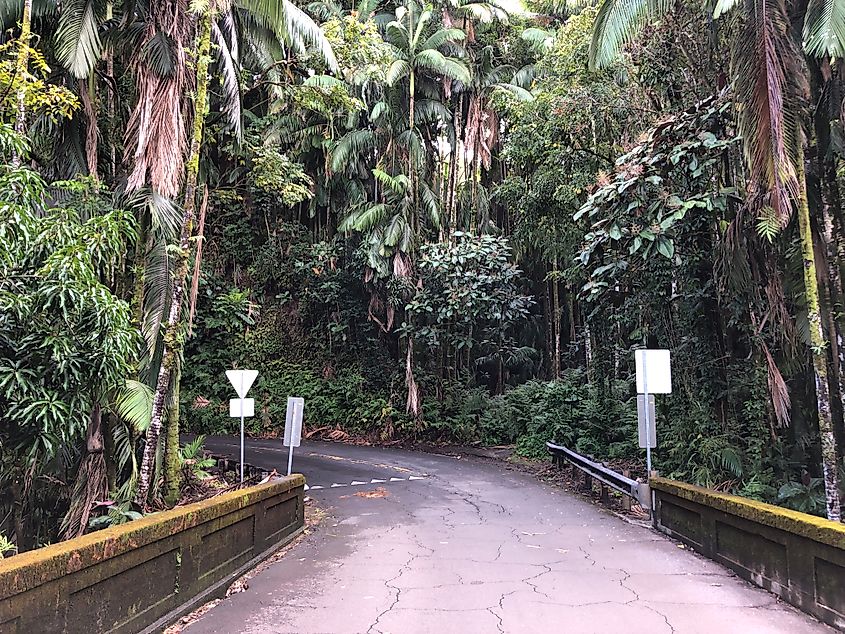 Māmalahoa Highway.