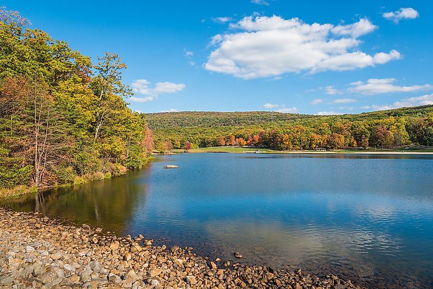 Early autumn color at Greenbrier Lake, at Greenbrier State Park in Maryland.