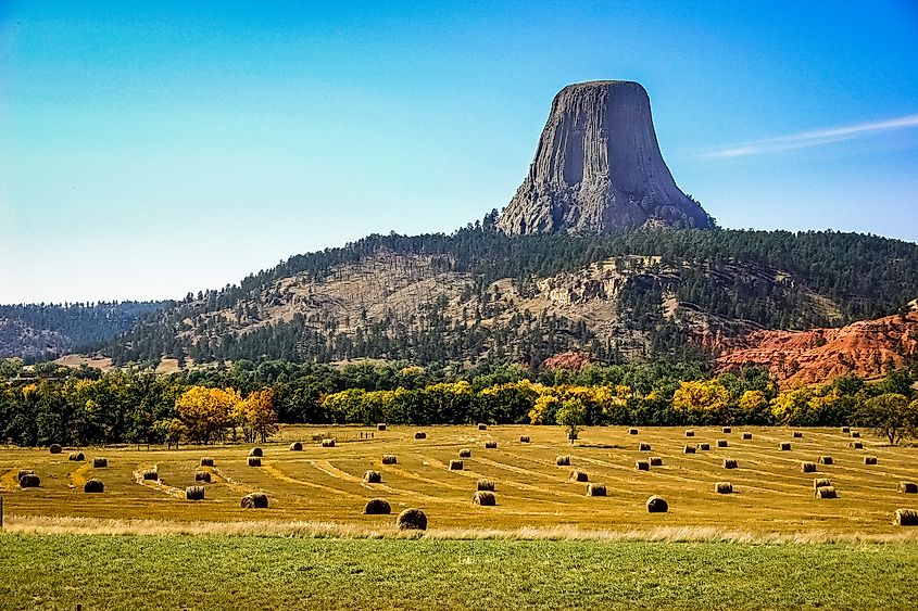Fall foliage frames Devils Tower National Monument in Wyoming.