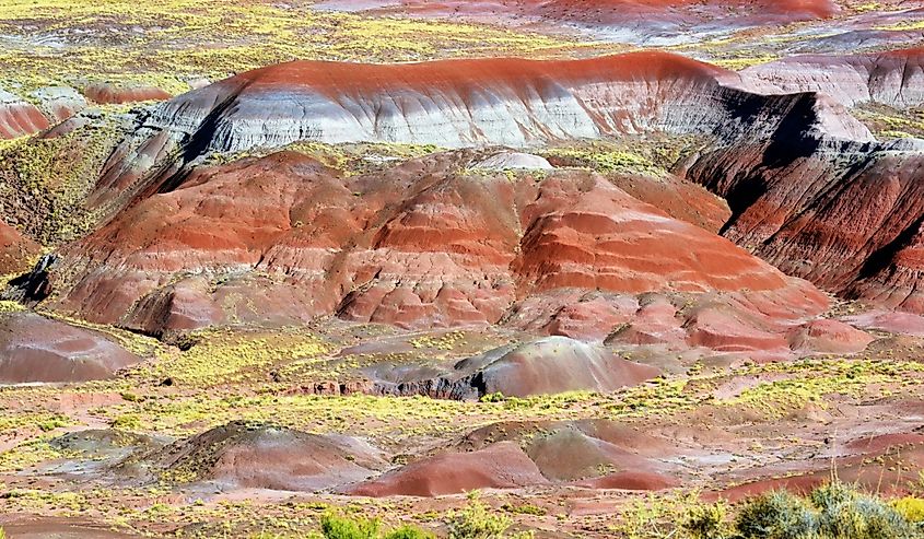 Painted Desert scene, Petrified Forest National Park