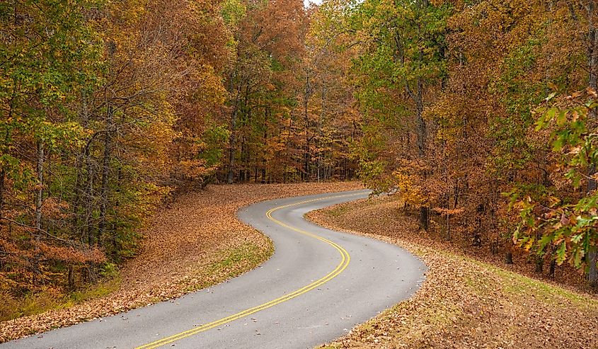 Natchez Trace Parkway road in Tennessee, USA during the fall season.