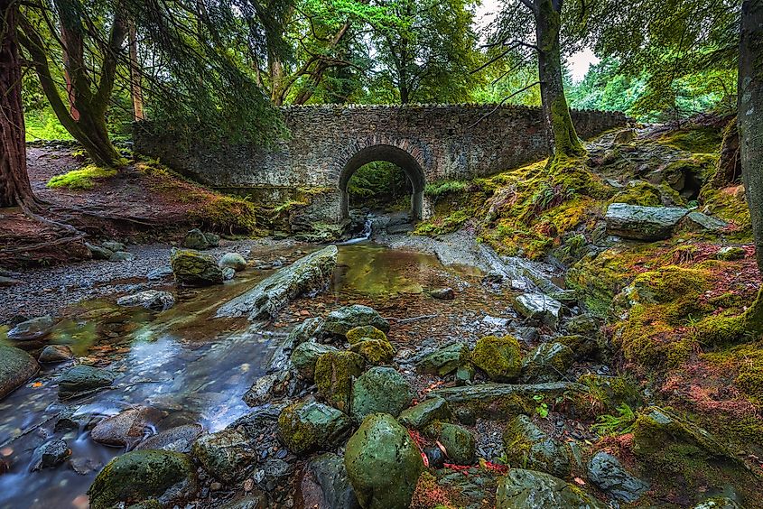 Tollymore Forest Park near Newcastle, Northern Ireland.