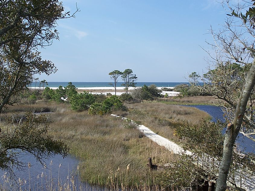 Camp Helen State Park