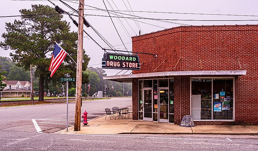 Downtown drugstore in Princeton, North Carolina.