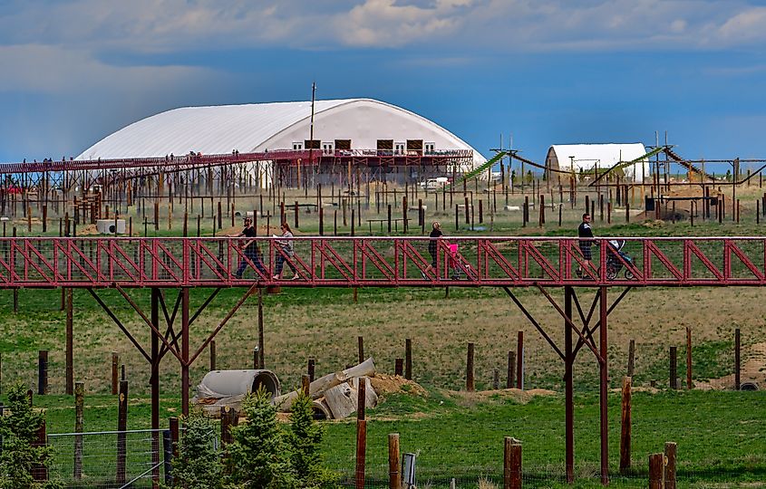 Editorial Photo Credit: Grossinger via Shutterstock. Keenesburg, Colorado / USA - 28 April 2019 The Wild Animal Sanctuary uses elevated walkways for the comfort of the animals and the safety of the visitors.