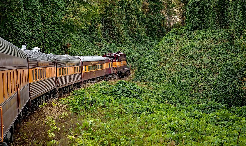 The Great Smoky Mountains Railroad scenic train near the Great Smoky Mountains National Park in Bryson City, North Carolina