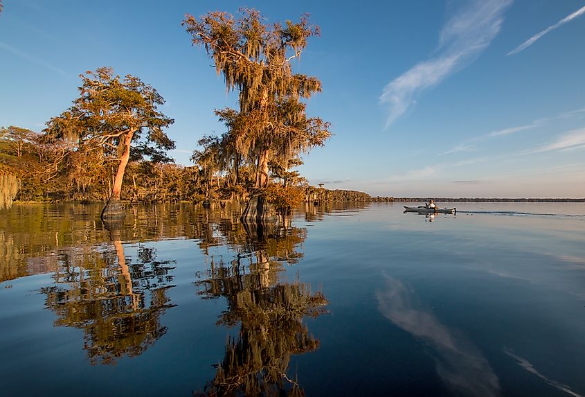 Kayaking on Blue Cypress Lake near Vero Beach and Yeehaw Junction, Florida