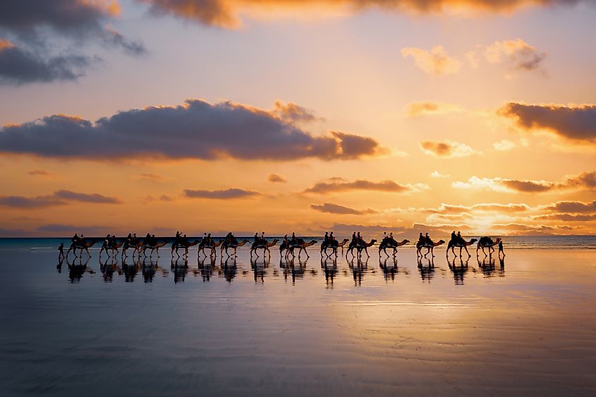 Visitors enjoying a camel ride at Cable Beach in Broome, Western Australia.