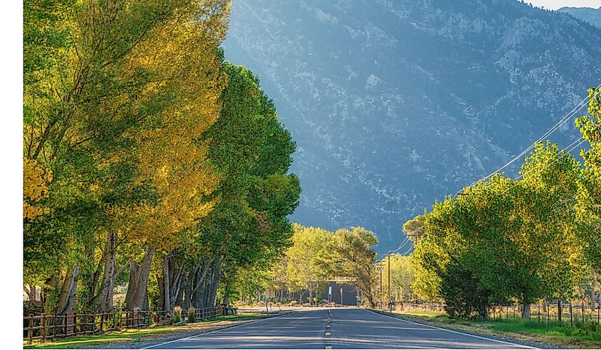 A beautiful shot of a road through a lush park near mountains in Gardnerville, Nevada