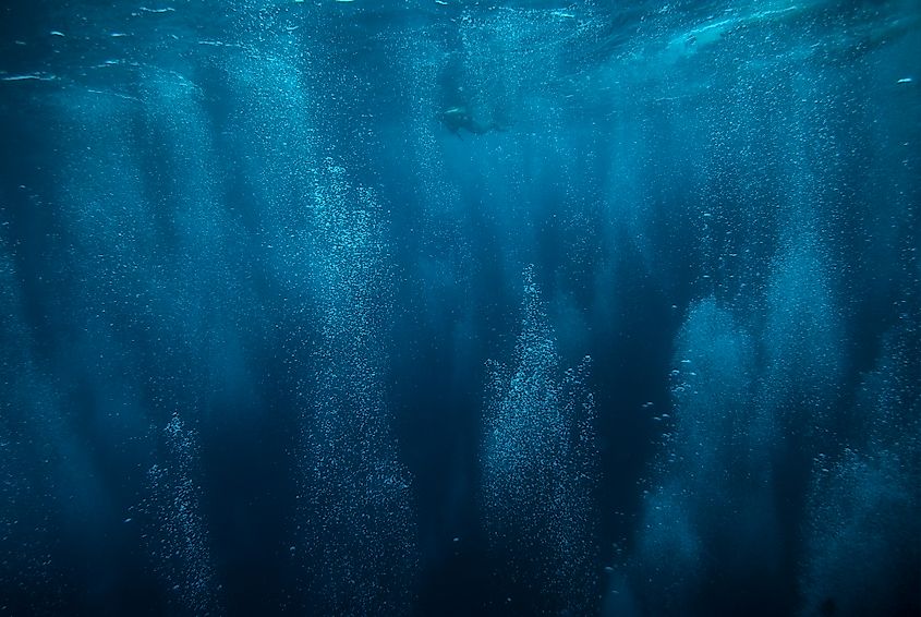 Bubbles rising underwater.