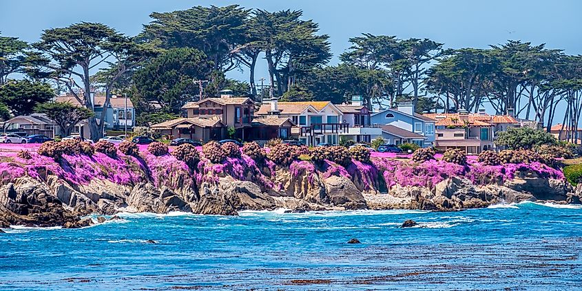 The Magic Carpet in Pacific Grove, California.