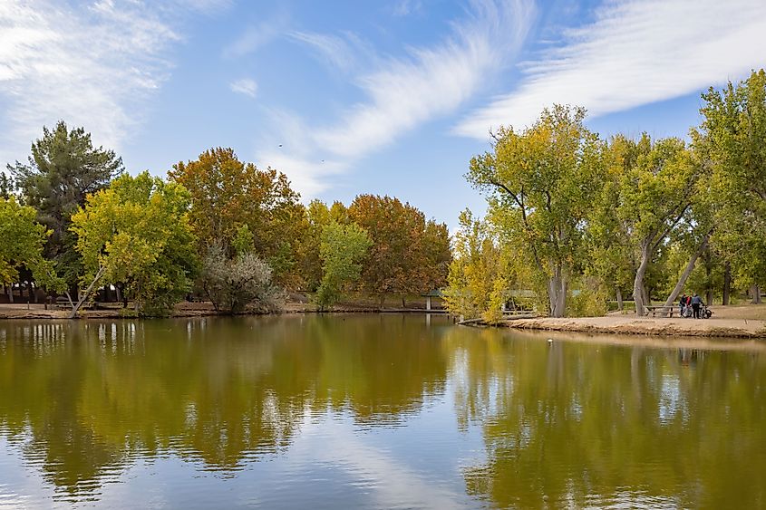 Fall foliage in Floyd Lamb Park in Las Vegas, Nevada.