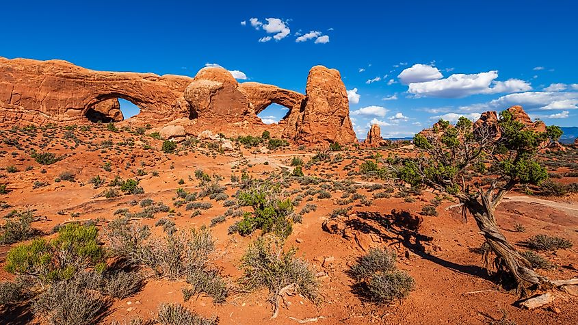 Arches National Park near Moab in Utah.