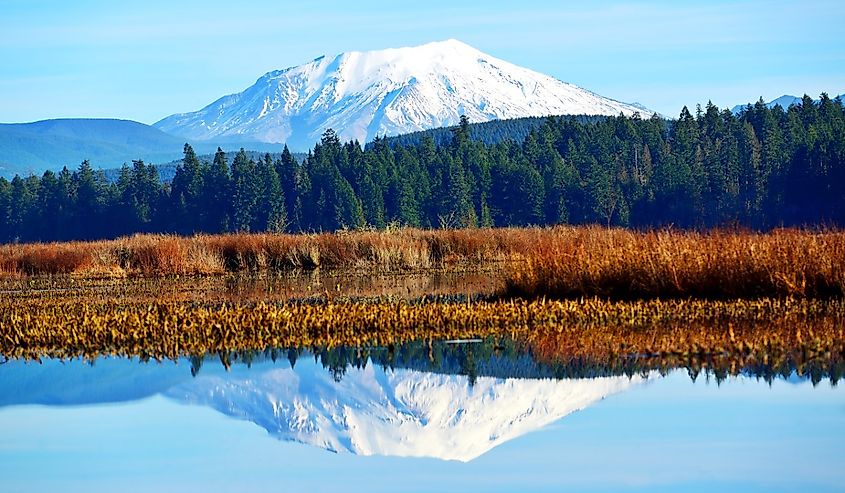 Mt St Helens reflecting in Silver Lake, Washington.