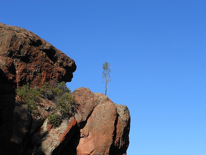 Pinnacles National Park