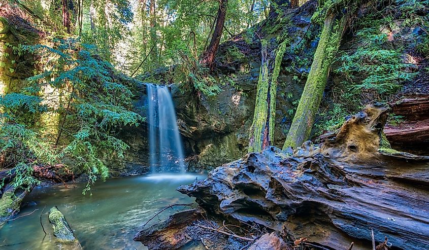 Sempervirens Falls in Big Basin Redwoods State Park