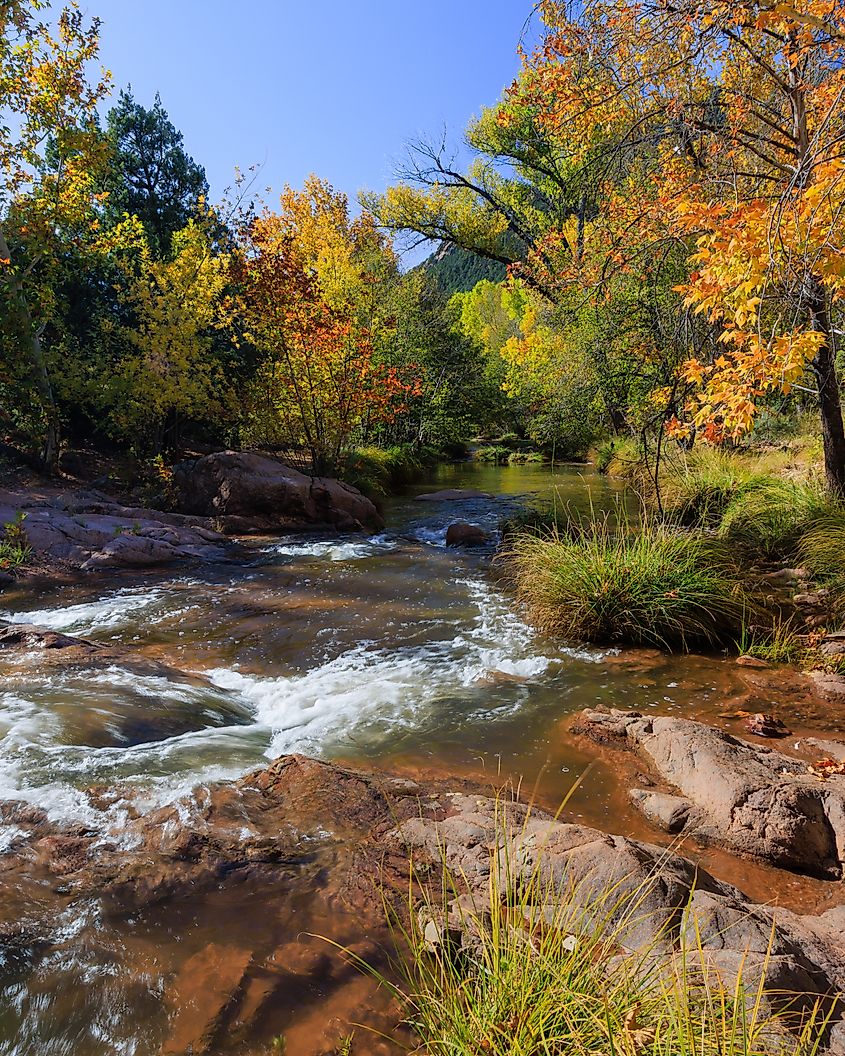 A colorful Autumn scene down stream from the First Crossing of Ellison creek near Payson, Arizona.