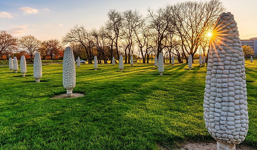 Rows of corn stone sculptures at "corn henge" in Dublin Ohio