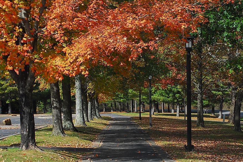 Various landscapes at Giant City State Park in Makanda, Illinois.