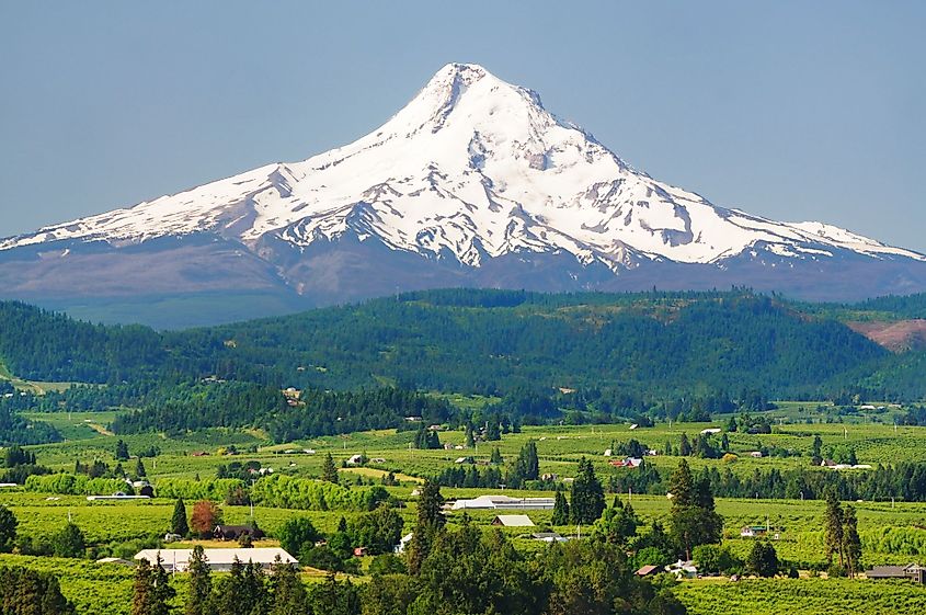 Mount Hood and Hood River Valley.