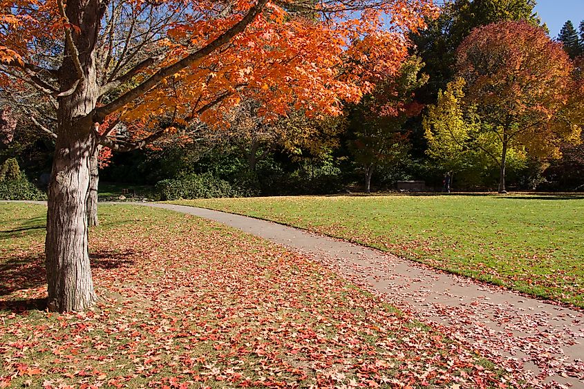 A serene fall scene in Lithia Park, Ashland, Oregon