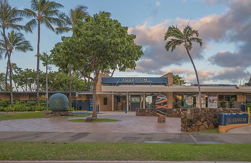 The Waikiki Aquarium in Honolulu, Hawaii.