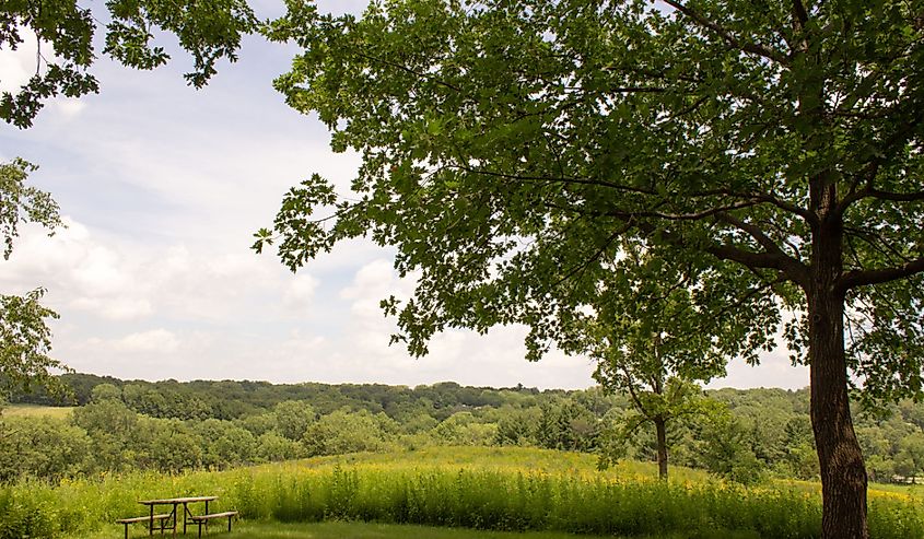 Picnic table overlooking meadow in Kent Park.