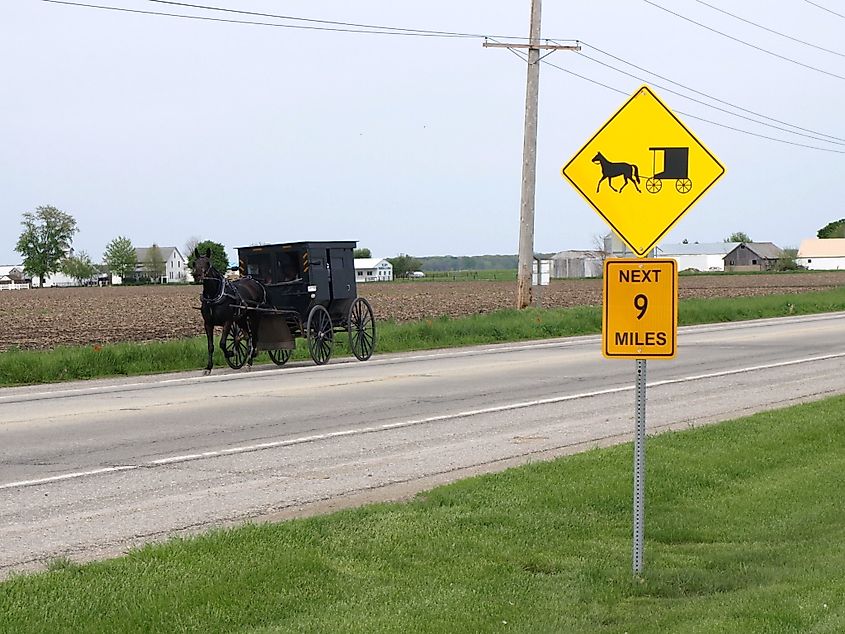 An Amish buggy near Arthur, Illinois.