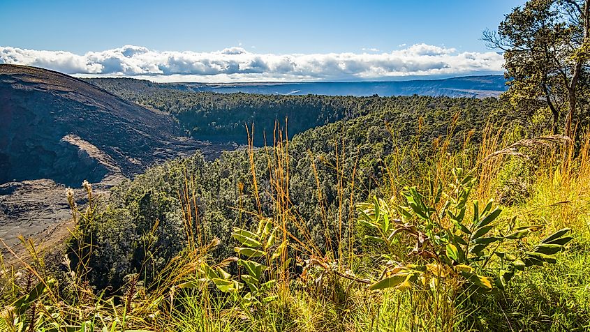 The stunning landscape of the Haleakalā National Park.