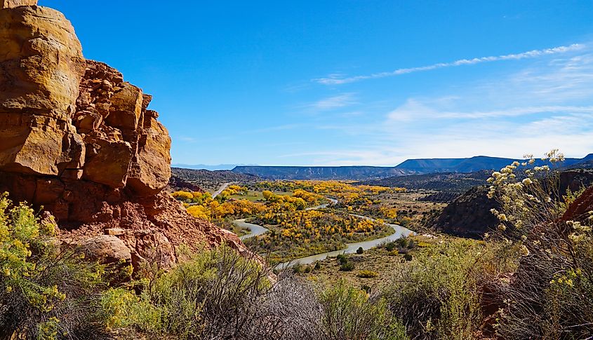 Fall foliage in the town of Abiquiu, New Mexico.