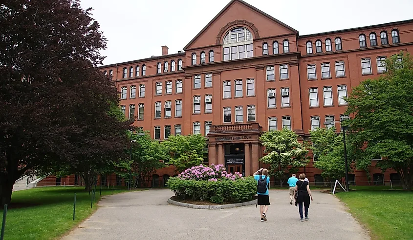 Harvard University, Museum of Natural History, Cambridge