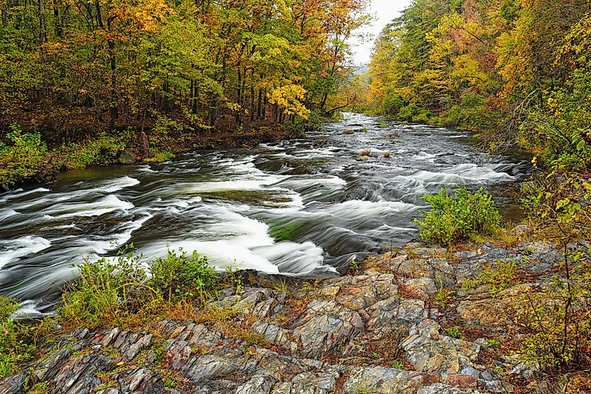 Mountain Fork River at Beaver's Bend State Park II.