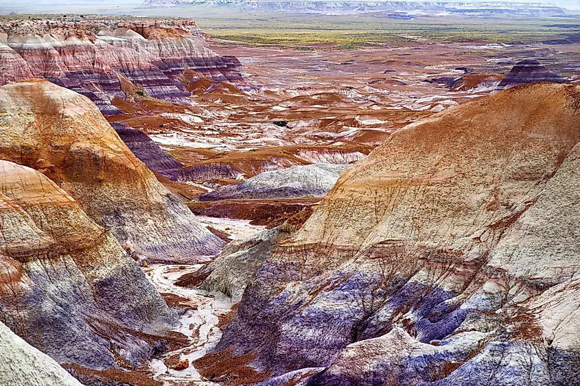 Petrified Forest National Park in Apache County, Arizona.