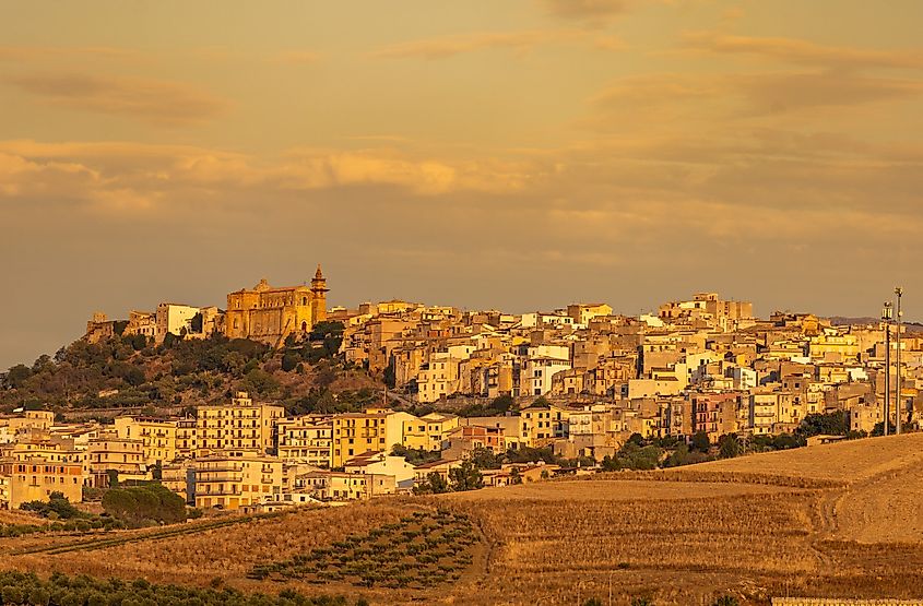 Panoramic view of Sambuca di Sicilia, Italy, photographed in warm evening light. The hilltop town is surrounded by dry fields and olive groves, with historic buildings rising above the countryside.
