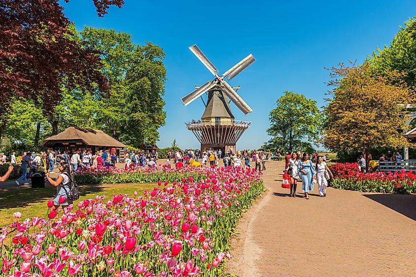 Windmill at the Keukenhof Gardens complex in Lisse, South Holland