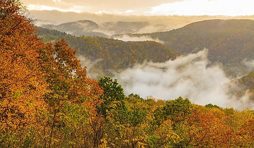 Fog Covered Mountains With Fall Foliage, Pipestem Resort State Park, West Virginia